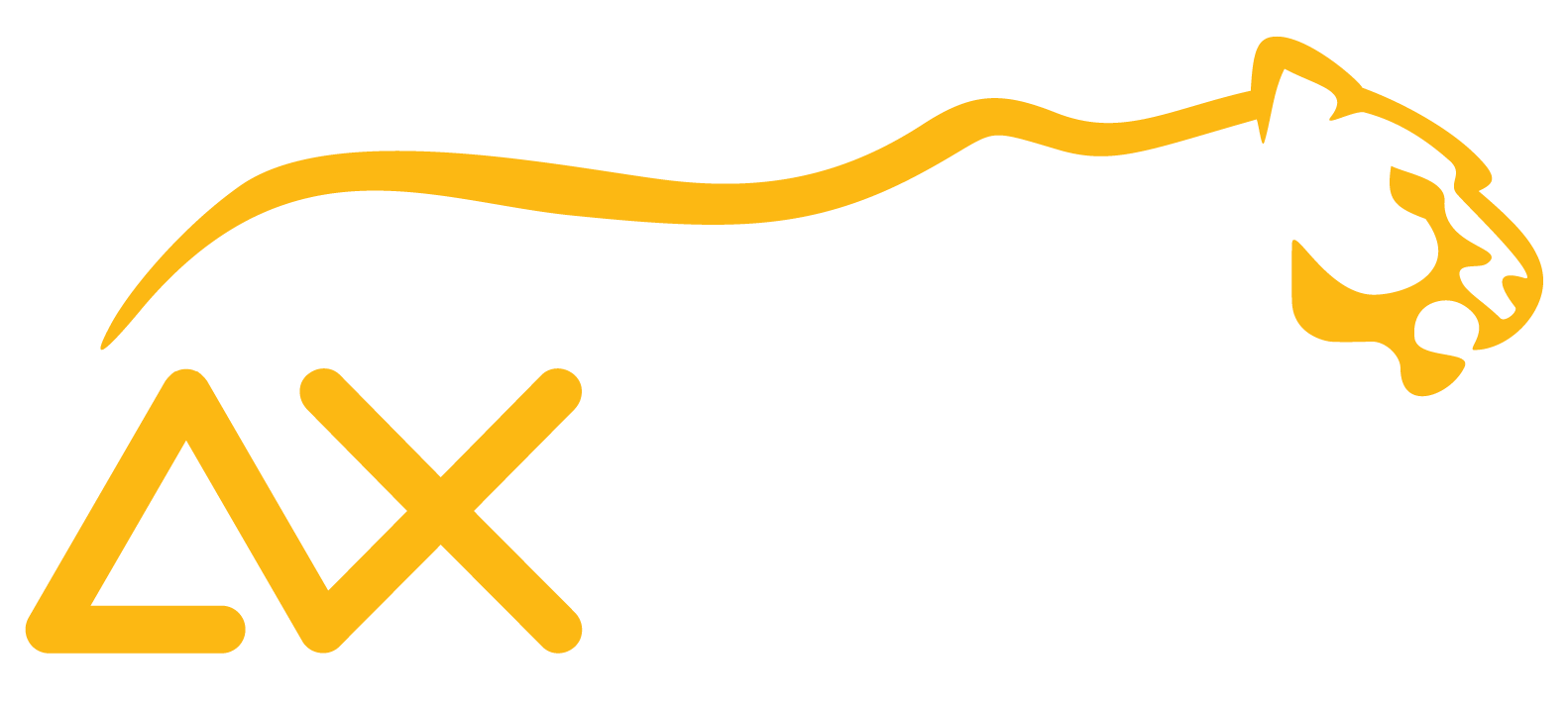 Axnet